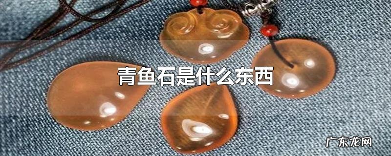 青鱼石是什么东西