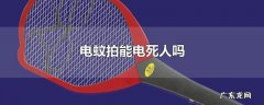 电蚊拍能电死人吗