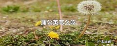 蒲公英怎么吃