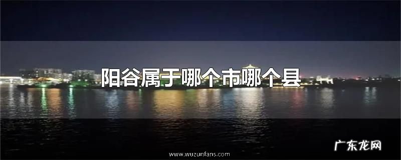 阳谷属于哪个市哪个县