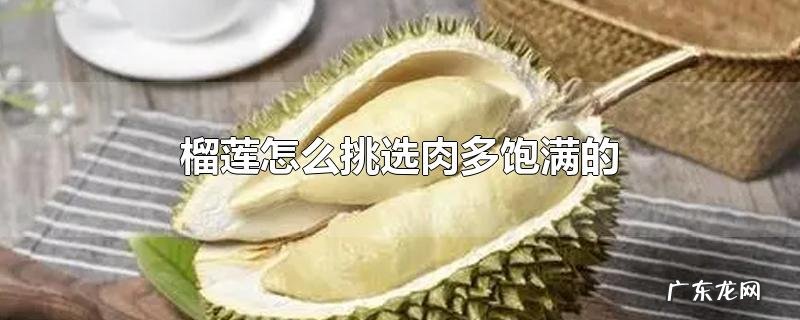 榴莲怎么挑选肉多饱满的