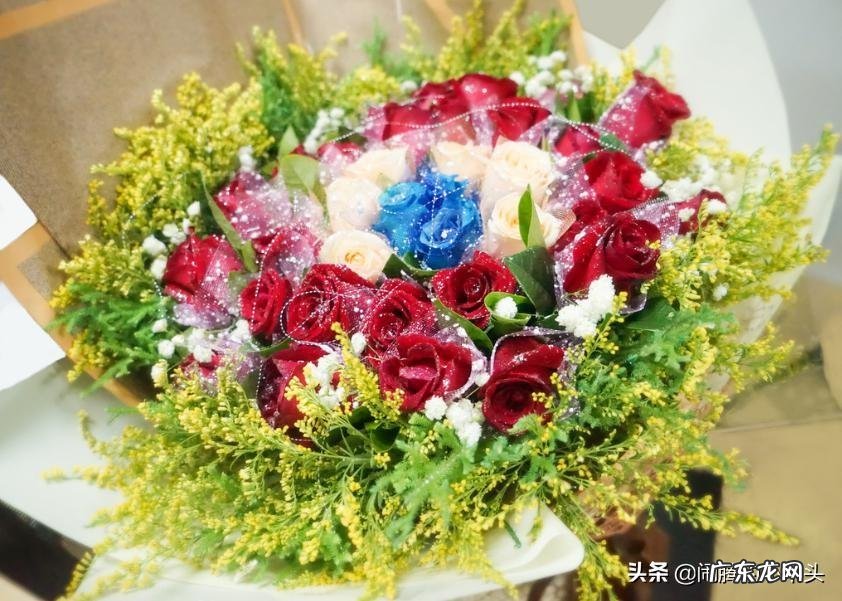 黄莺幸福草 黄莺草的花语