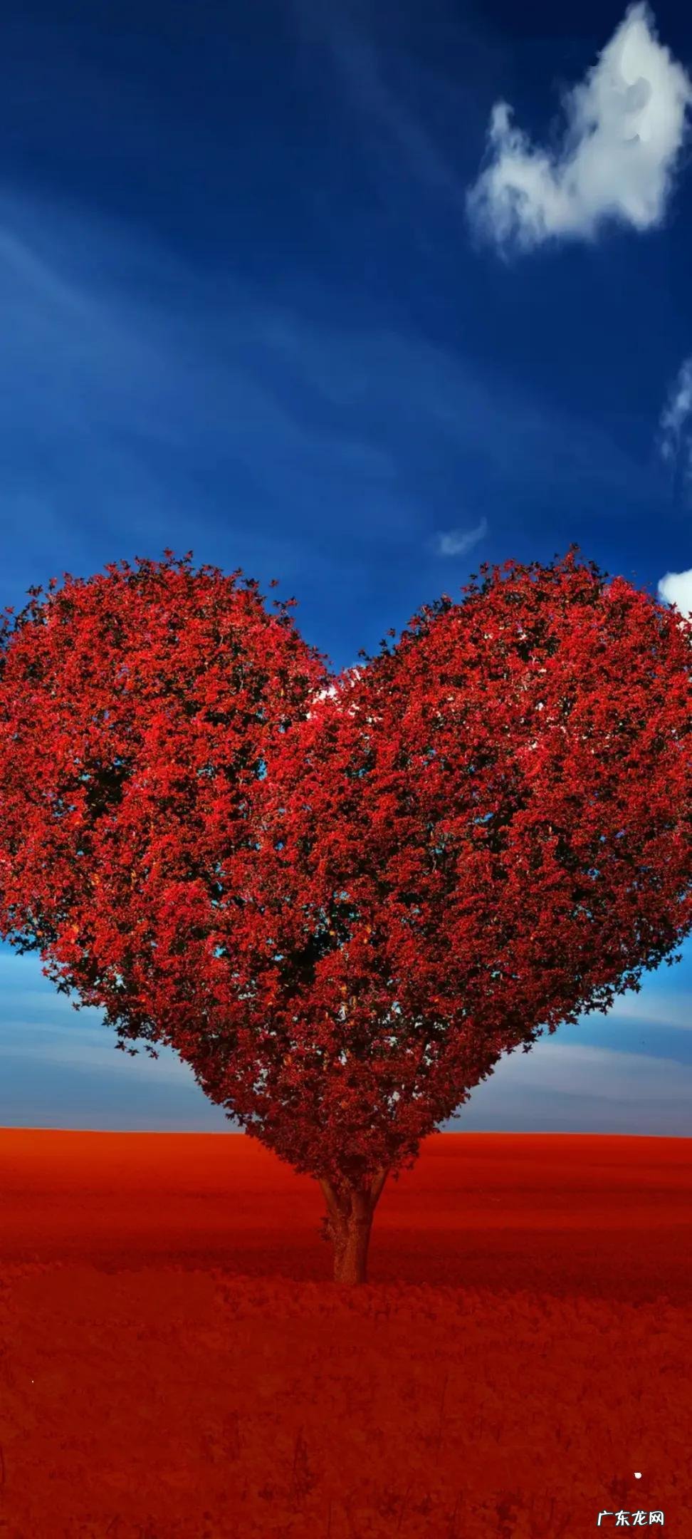 爱心图案风水图片