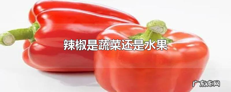 辣椒是蔬菜还是水果