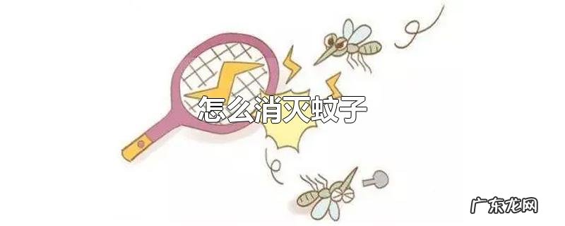 怎么消灭蚊子