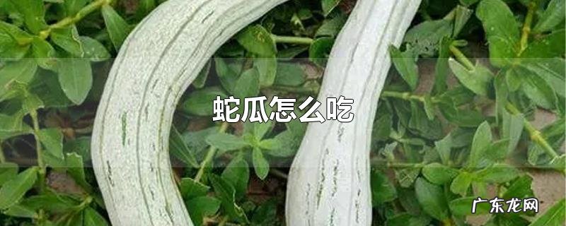 蛇瓜怎么吃