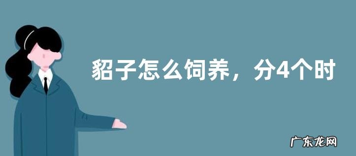 貂子怎么饲养,分4个时期来管理