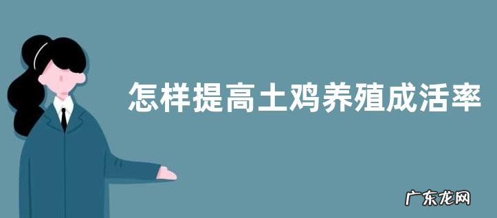 怎样提高土鸡养殖成活率,做好这三点即可