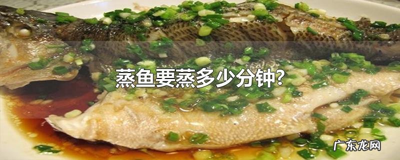 蒸鱼要蒸多少分钟?