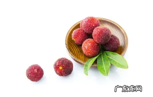 吃杨梅核能帮助消化吗