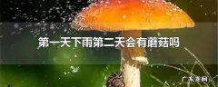 第一天下雨第二天会有蘑菇吗