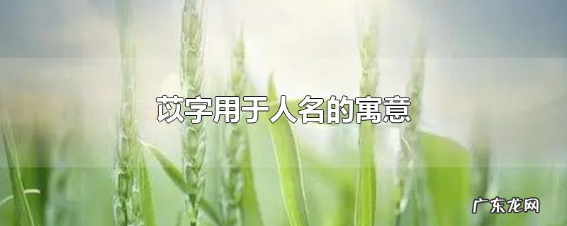 苡字用于人名的寓意