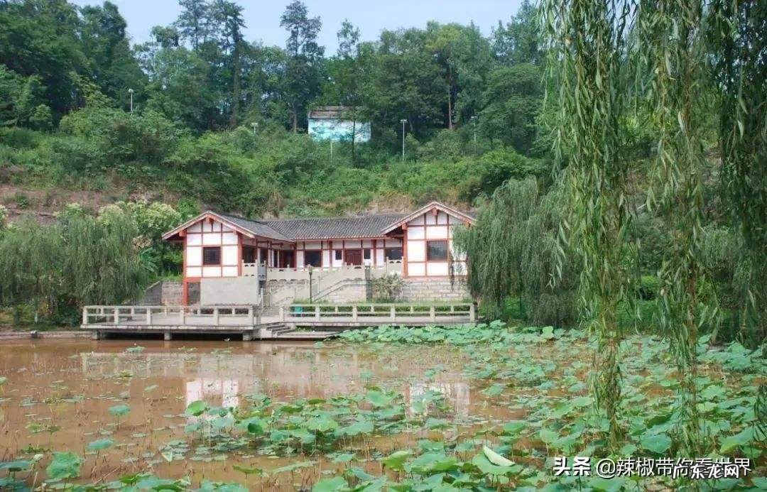 风水中什么是天龙什么是地龙 大地重龙风水讲解