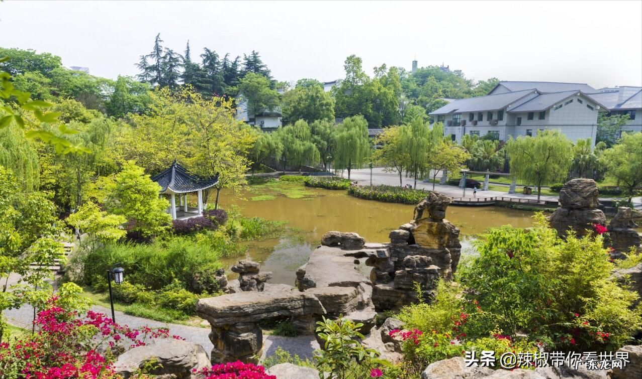 风水中什么是天龙什么是地龙 大地重龙风水讲解