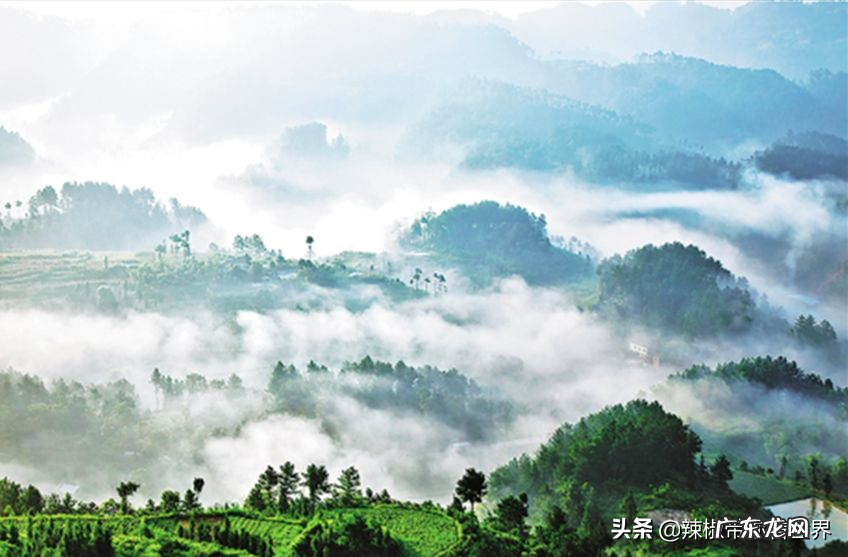 风水中什么是天龙什么是地龙 大地重龙风水讲解