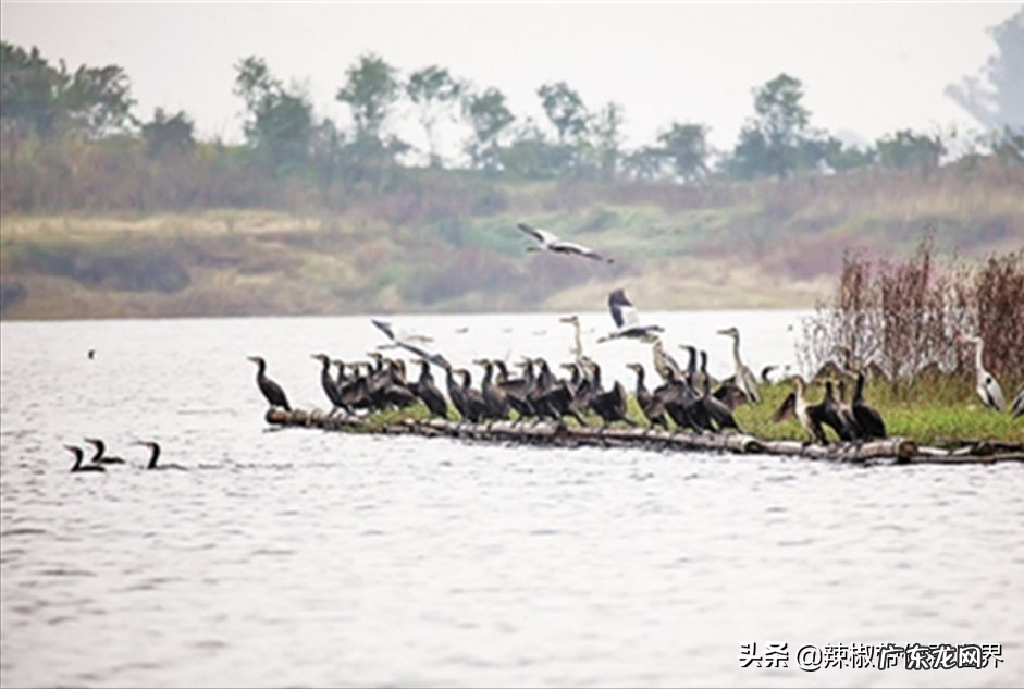 风水中什么是天龙什么是地龙 大地重龙风水讲解