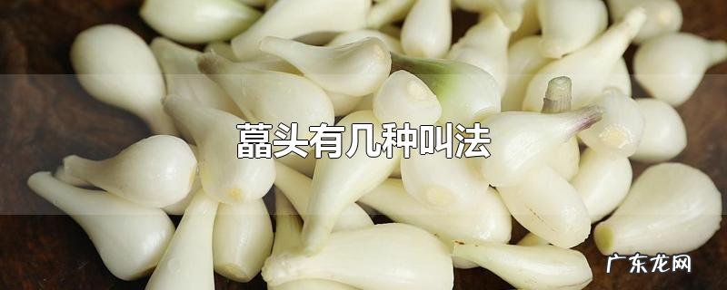 藠头有几种叫法