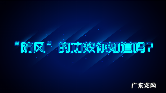 防风水能祛风湿吗