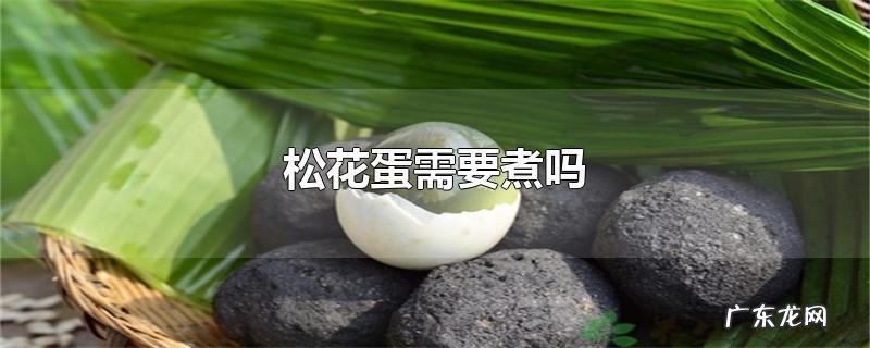 松花蛋需要煮吗