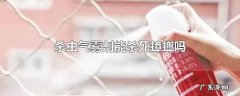 杀虫气雾剂能杀死蟑螂吗