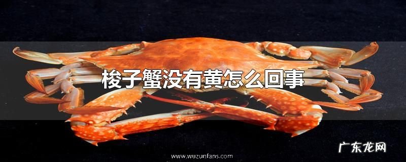 梭子蟹没有黄怎么回事