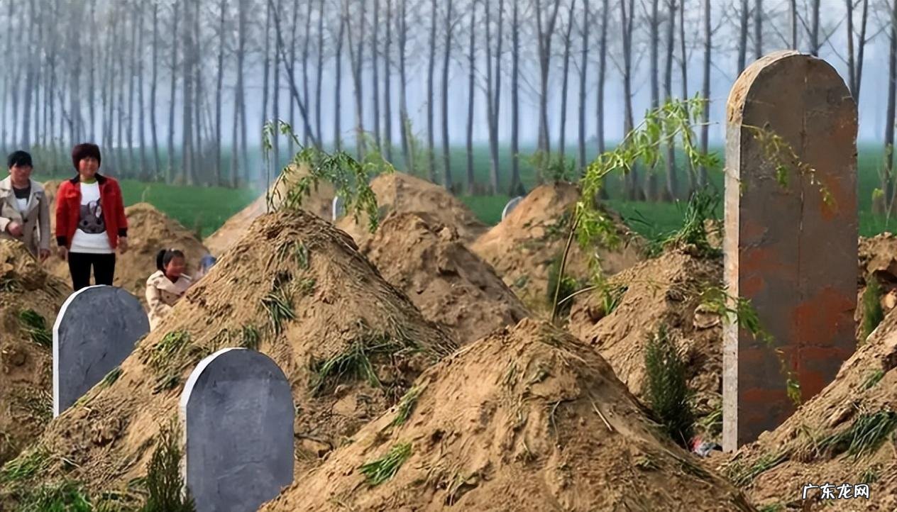 墓地风水 坟前有竹林风水怎样
