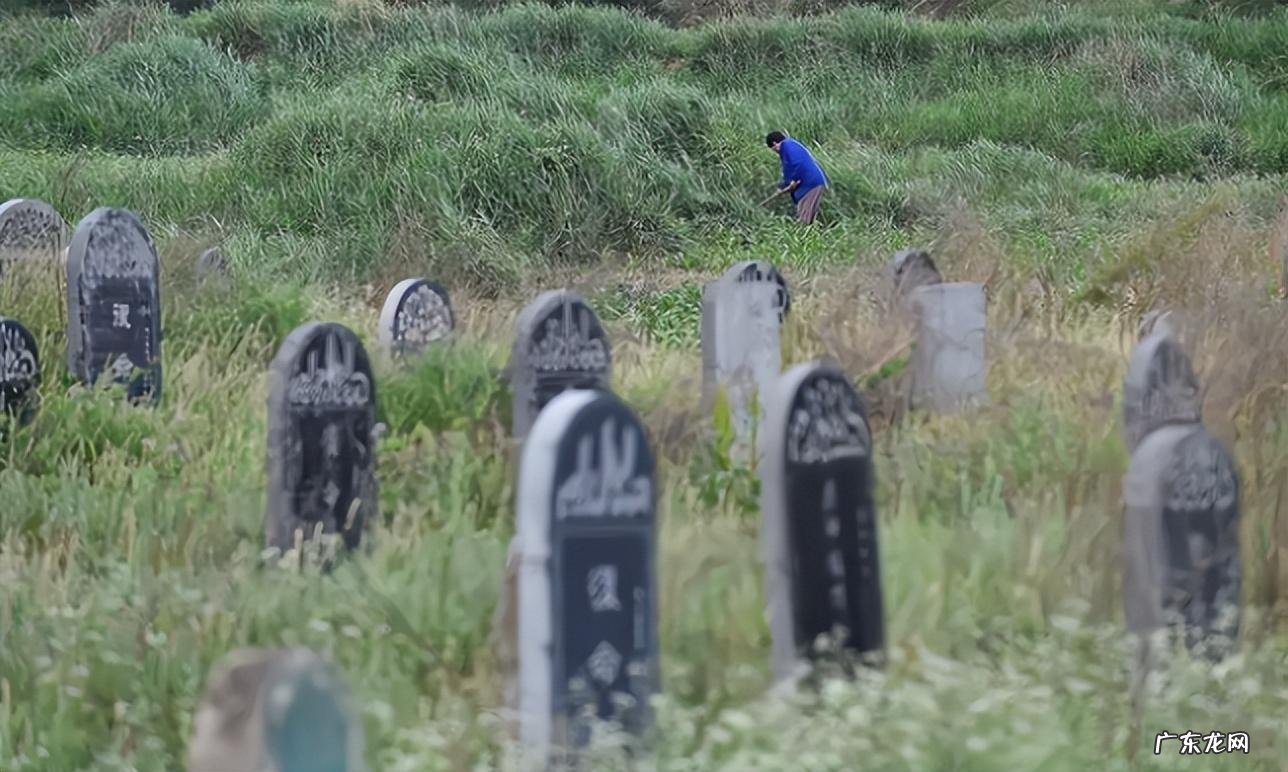 墓地风水 坟前有竹林风水怎样