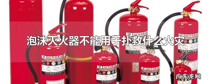 泡沫灭火器不能用于扑救什么火灾