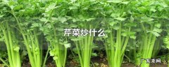 芹菜炒什么