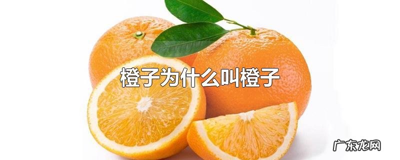橙子为什么叫橙子