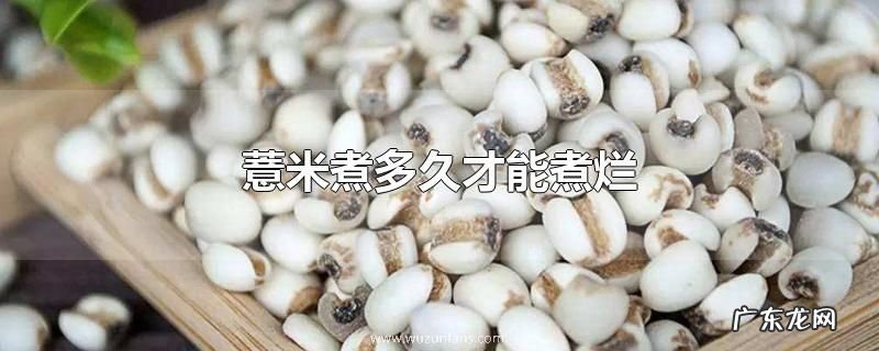 薏米煮多久才能煮烂