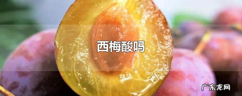 西梅酸吗