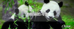 大熊猫的习性