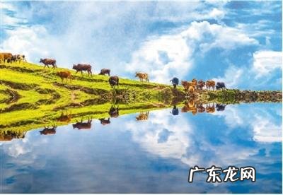 武汉哪个地段风水好为什么 武汉青山哪里有做风水的