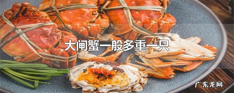 大闸蟹一般多重一只