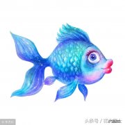 方形鱼缸风水好不好