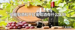红葡萄酒和干红葡萄酒有什么区别