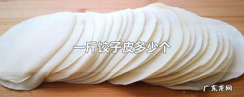 一斤饺子皮多少个