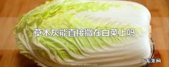 草木灰能直接撒在白菜上吗