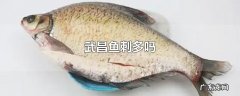 武昌鱼刺多吗