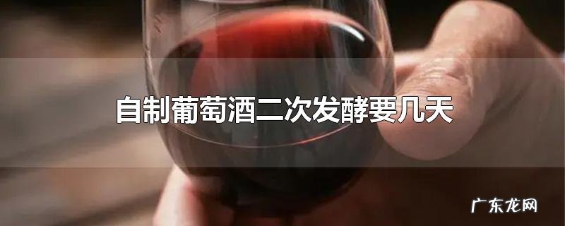 自制葡萄酒二次发酵要几天