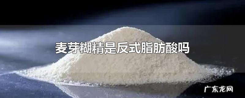 麦芽糊精是反式脂肪酸吗