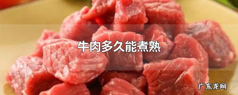 牛肉多久能煮熟
