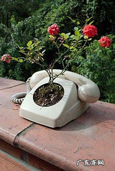 座机用什么颜色好