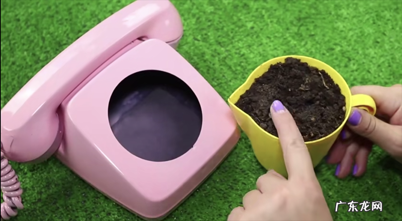 座机用什么颜色好