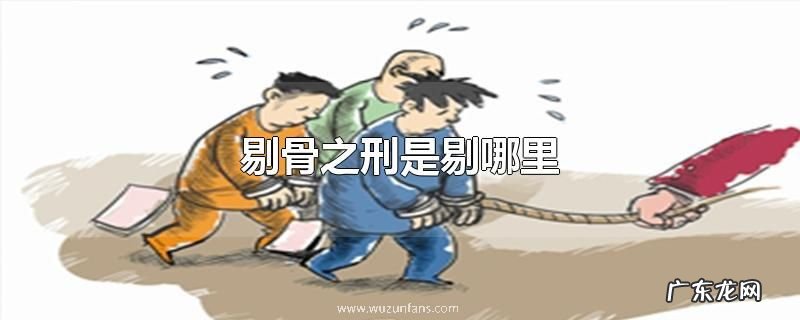剔骨之刑是剔哪里