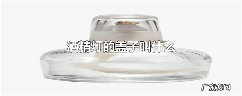酒精灯的盖子叫什么