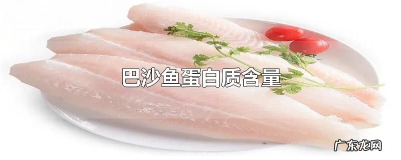 巴沙鱼蛋白质含量