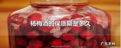 杨梅酒的保质期是多久