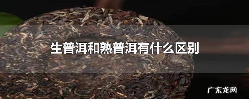 生普洱和熟普洱有什么区别